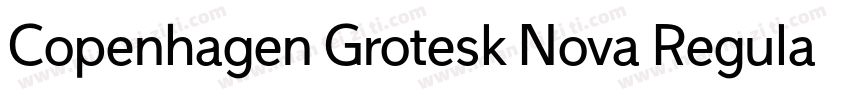 Copenhagen Grotesk Nova Regular字体转换